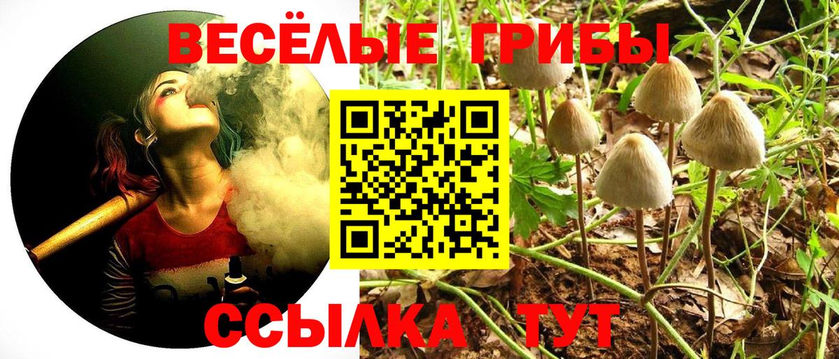 Рубцовск  Псилоцибиновые грибы MAGIC MUSHROOMS  Вход с VPN 