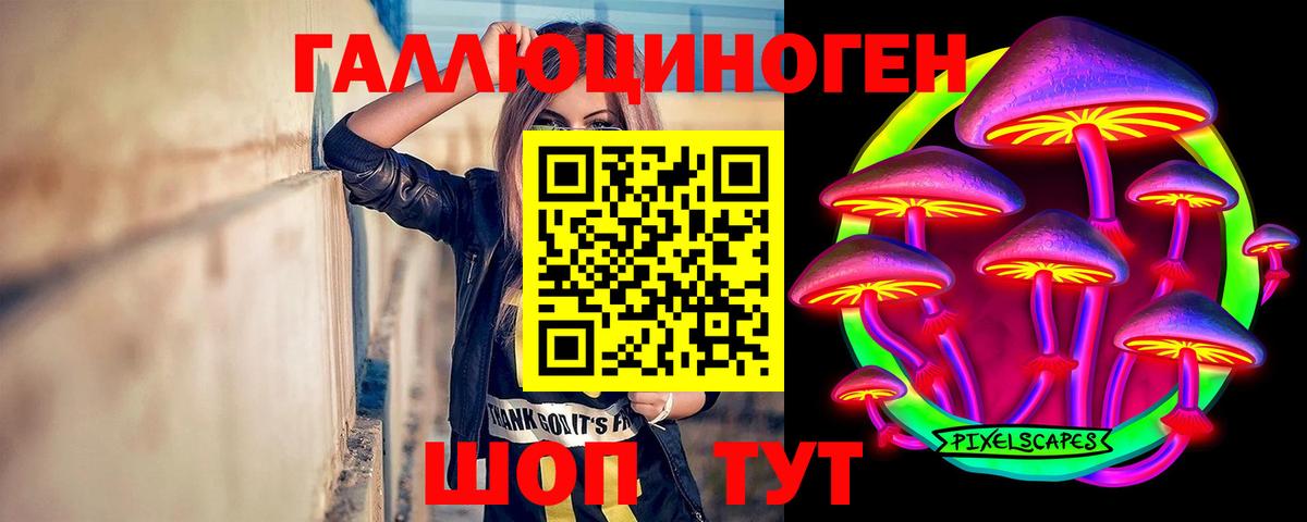 Псилоцибиновые грибы Psilocybine cubensis Рубцовск